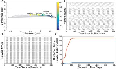 Computing Temporal Sequences Associated With Dynamic Patterns on the C. elegans Connectome